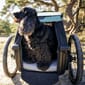 WEB80000_Rel Thule Bexley sykkelvogn for hund 5_web.jpg