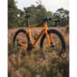 WEBSBIASTRID03_Rel Ridley Astr Apex AXS Grussykkel.jpg